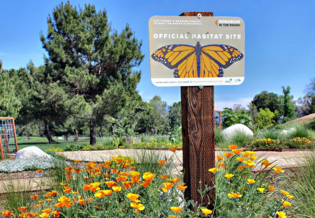 Temecula Creek Inn - Général