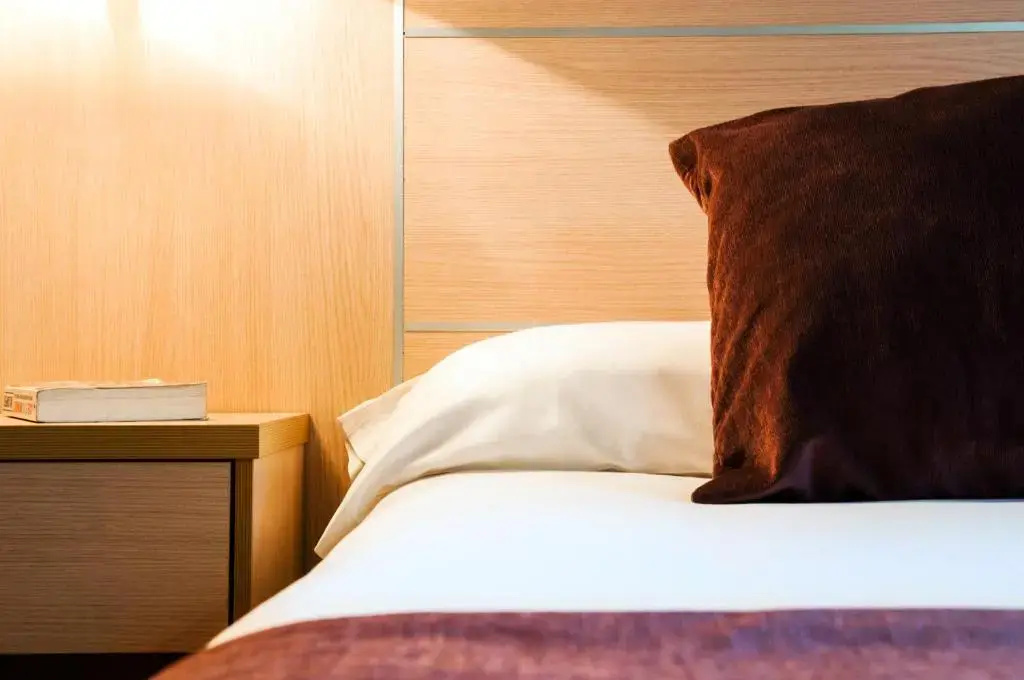 Hotel Balneario Areatza - Chambres