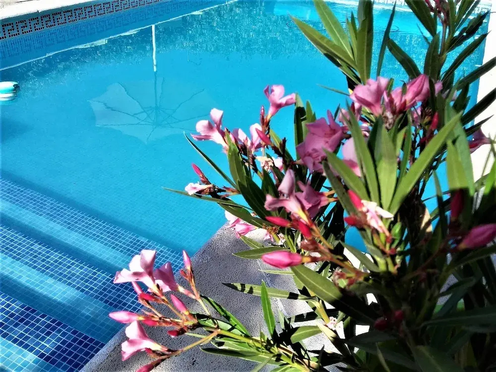 Cortijo Berruguilla Casa Rural - Général