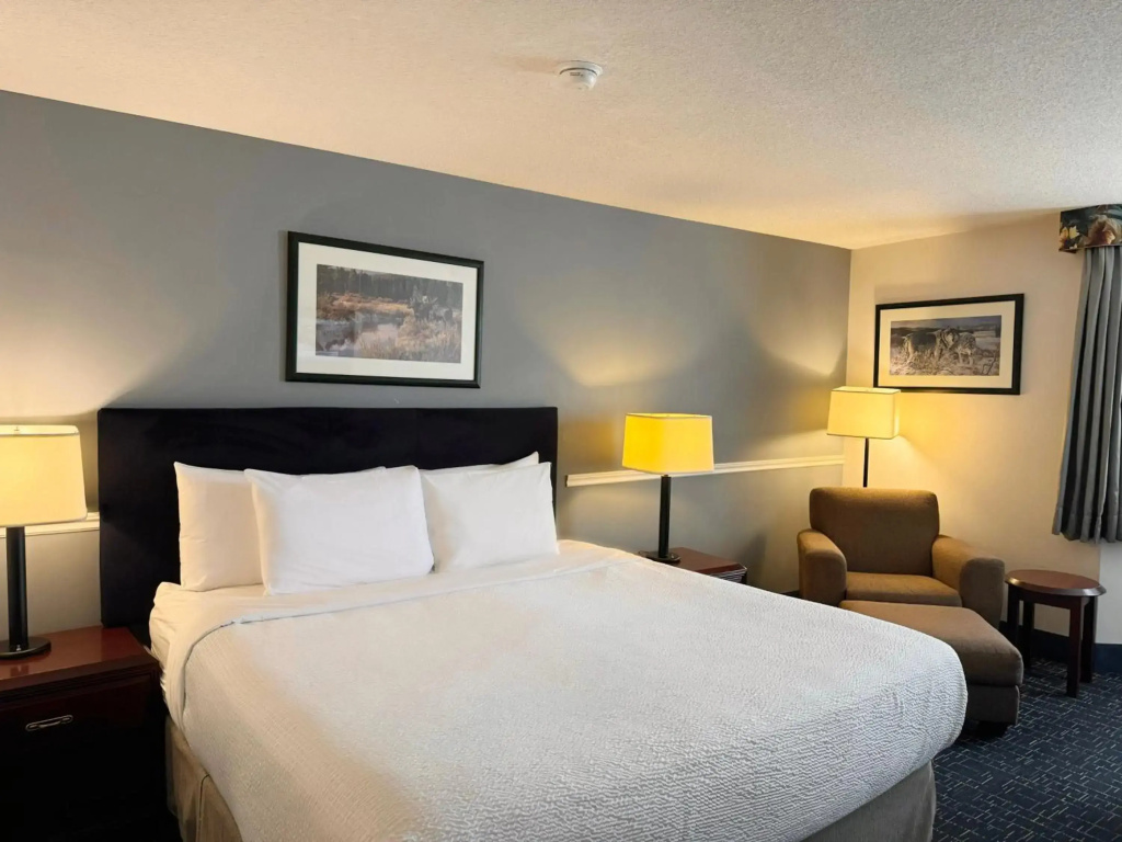Divya Sutra Plaza and Conference Centre Calgary Airport - Général
