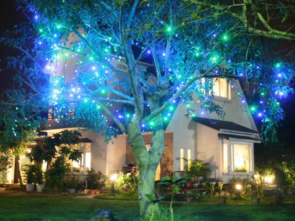 Yishingarden B&B