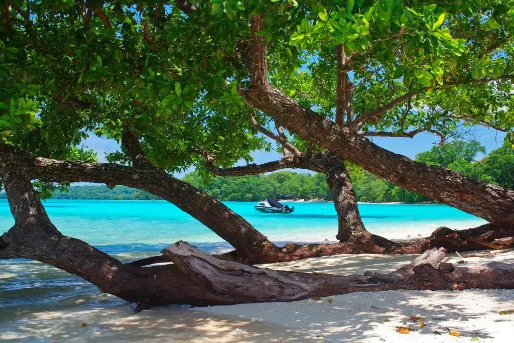 Barrier Beach Resort - Chambres