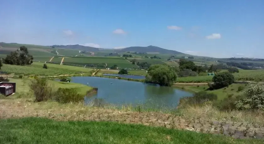 Aaldering Vineyards, Winefarm & Luxury Lodges - фото 10