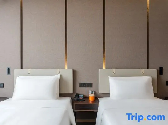 Business Double room with city view (twin beds)