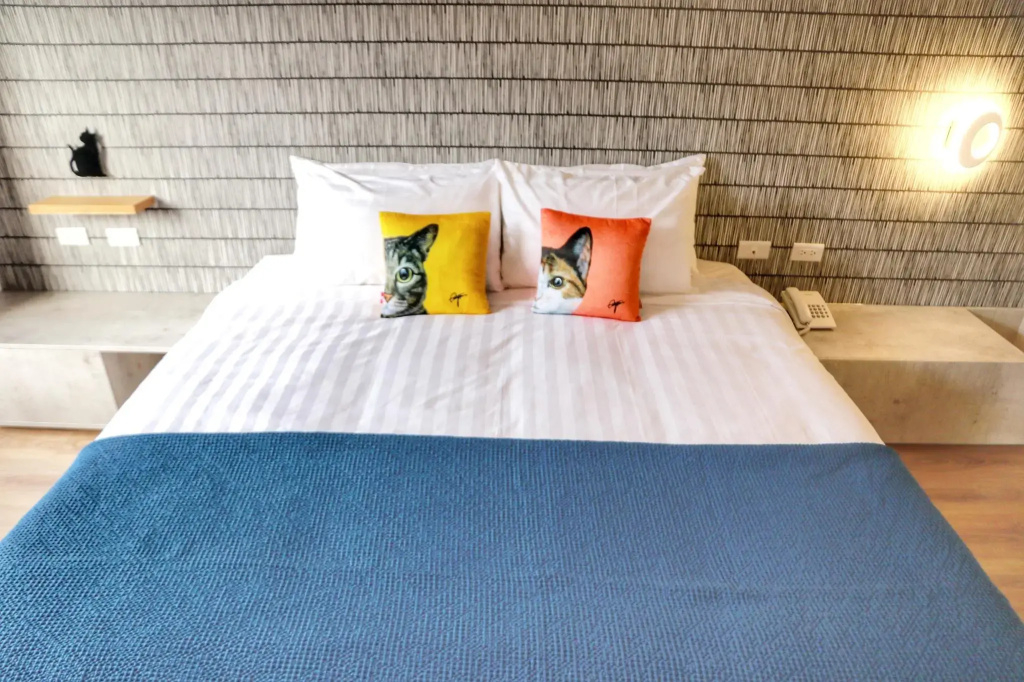 Deluxe Double room (full double bed)