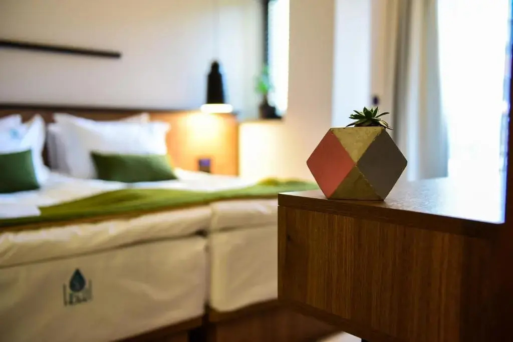 Deluxe Double room with balcony (full double bed)