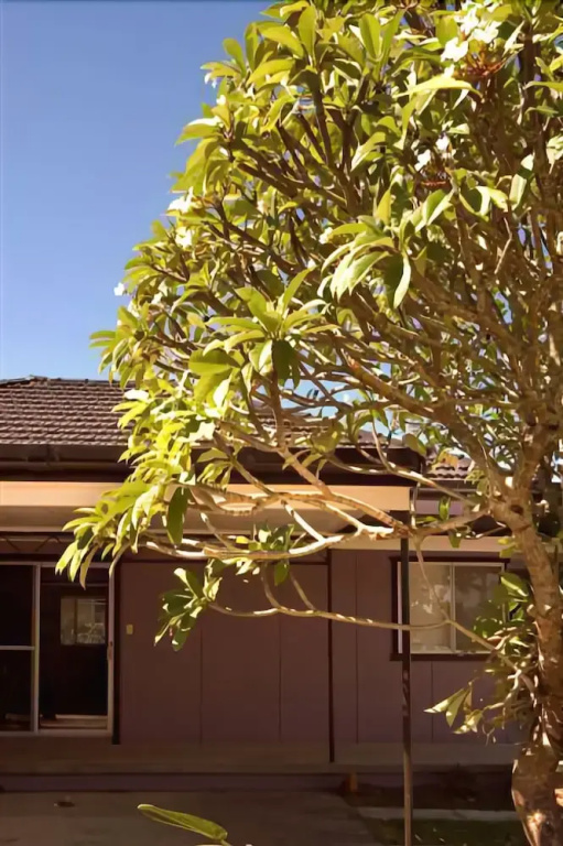 Shirley Beach Houses