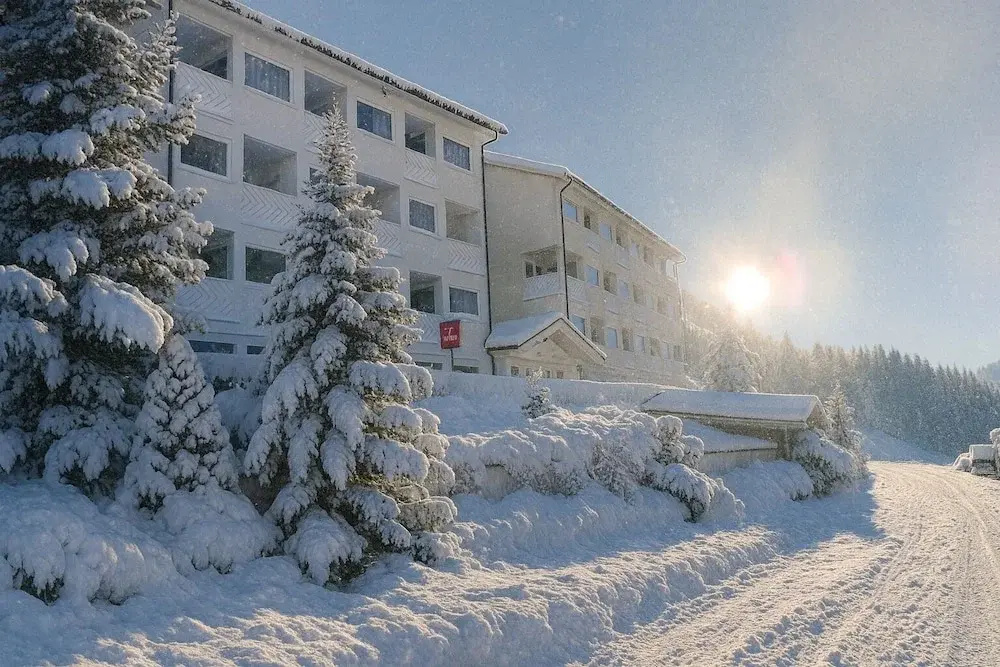 Grifone Dolomiti Resort