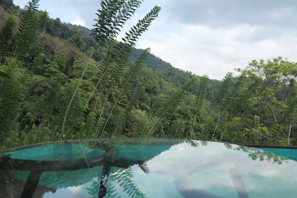 Paradise Eco Garden - Général