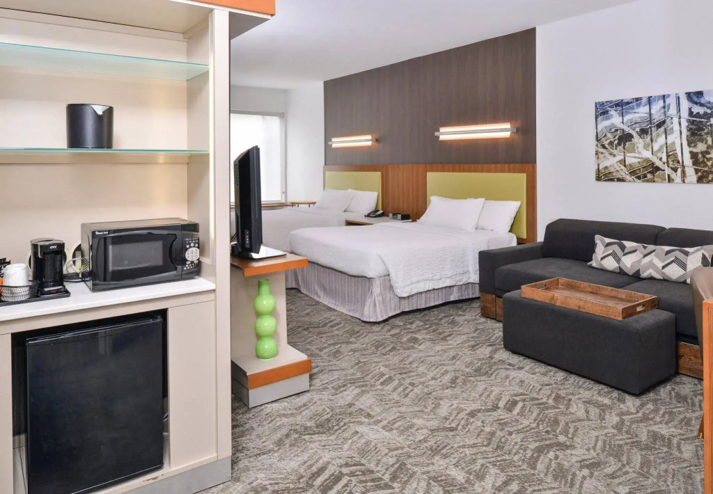 SpringHill Suites by Marriott Ashburn Dulles North - Général