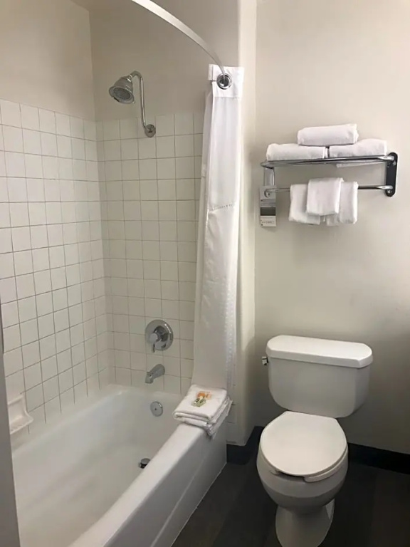 Holiday Inn Selma - Swancourt by IHG - Chambres
