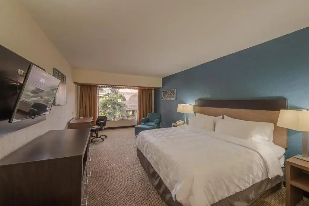 Holiday Inn Guadalajara Expo by IHG - Chambres