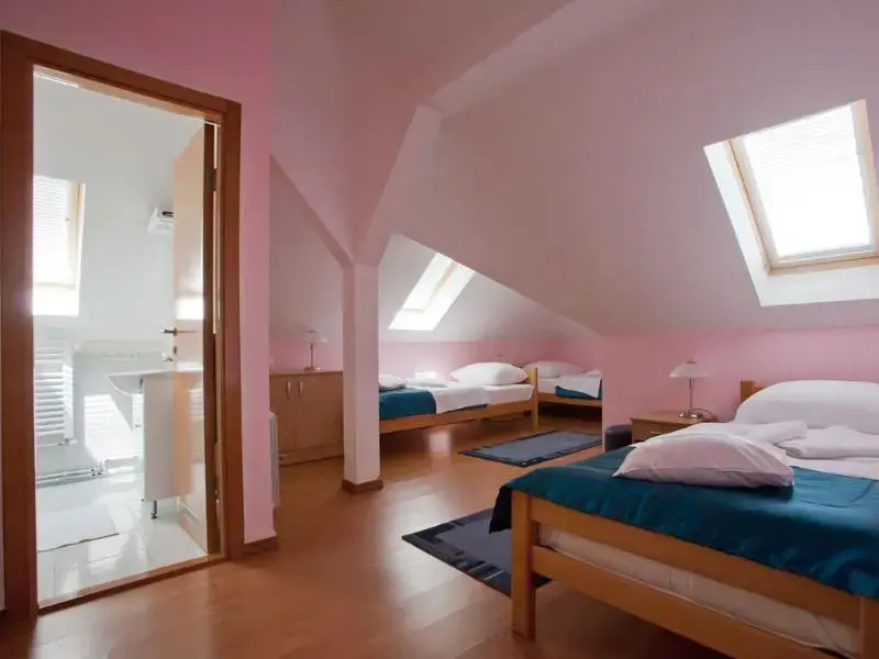 Vila Drina - Chambres