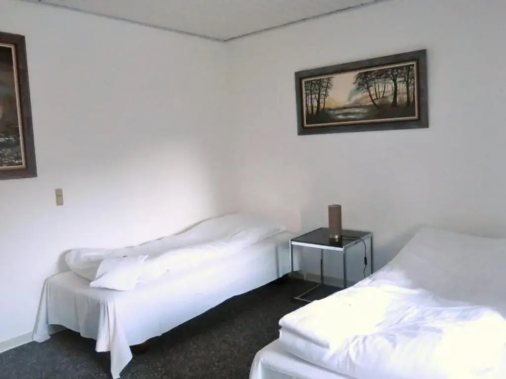 Standard Double room (twin beds)