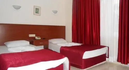 Alanya Demir Hotel - Général