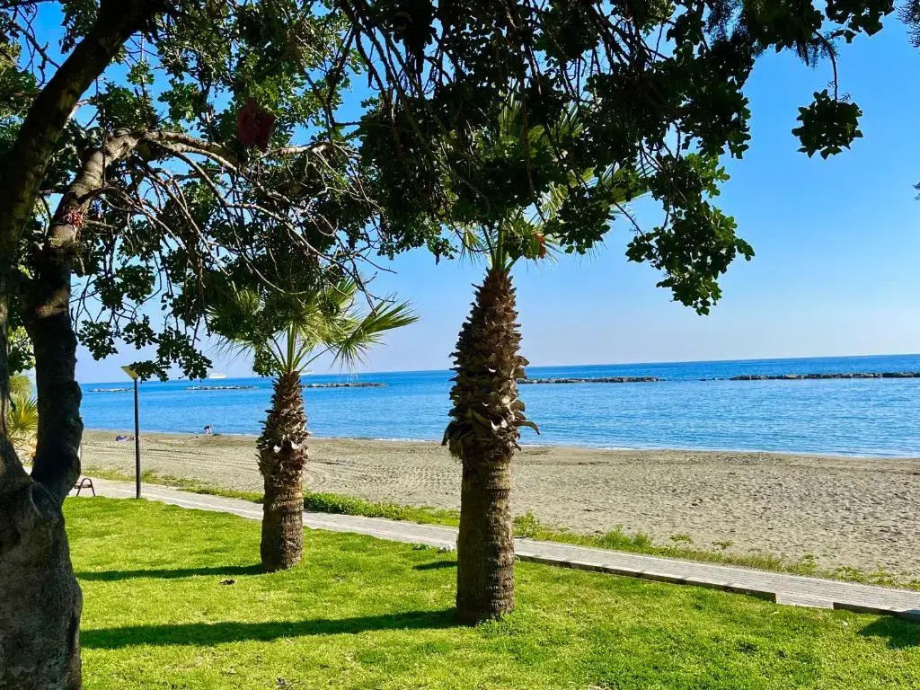 Beach & Waterfront