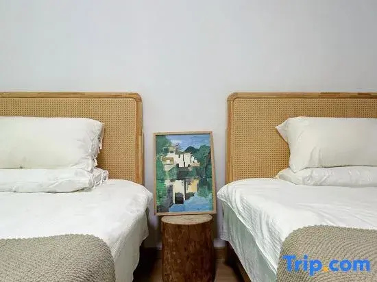 Superior Double room (twin beds)