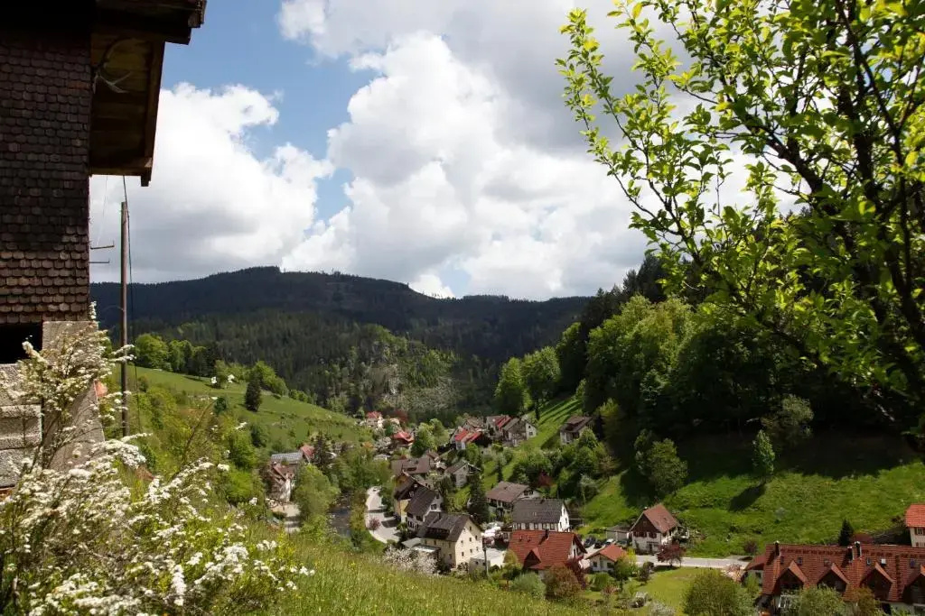 Ringhotel Sonnenhof - Général