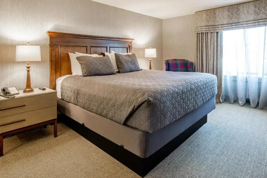1 Bedroom Suite