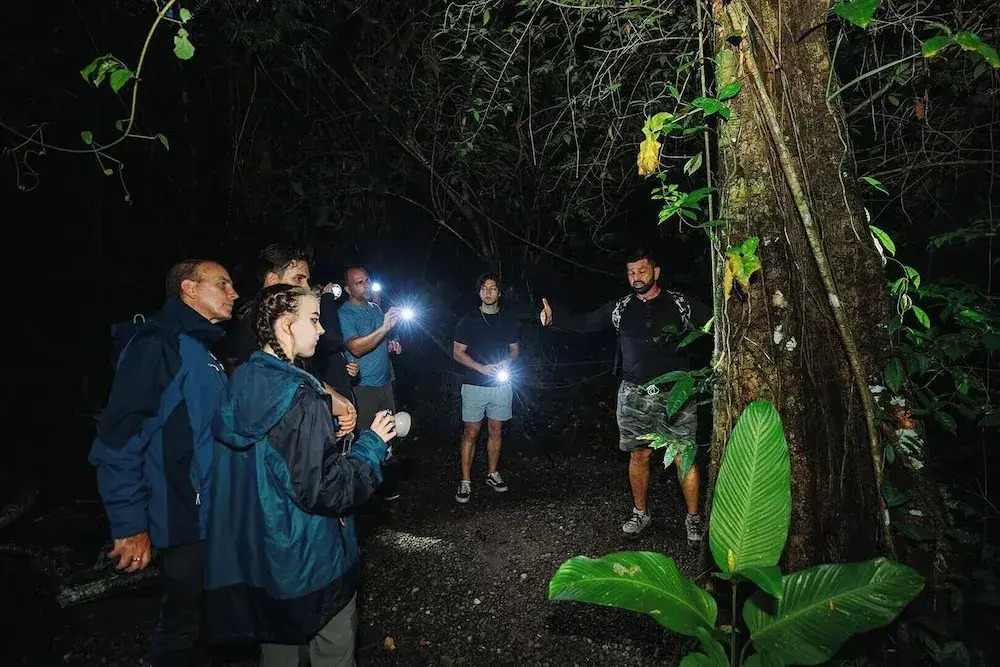 Miss Miriam Beachfront Cabins - фото 15