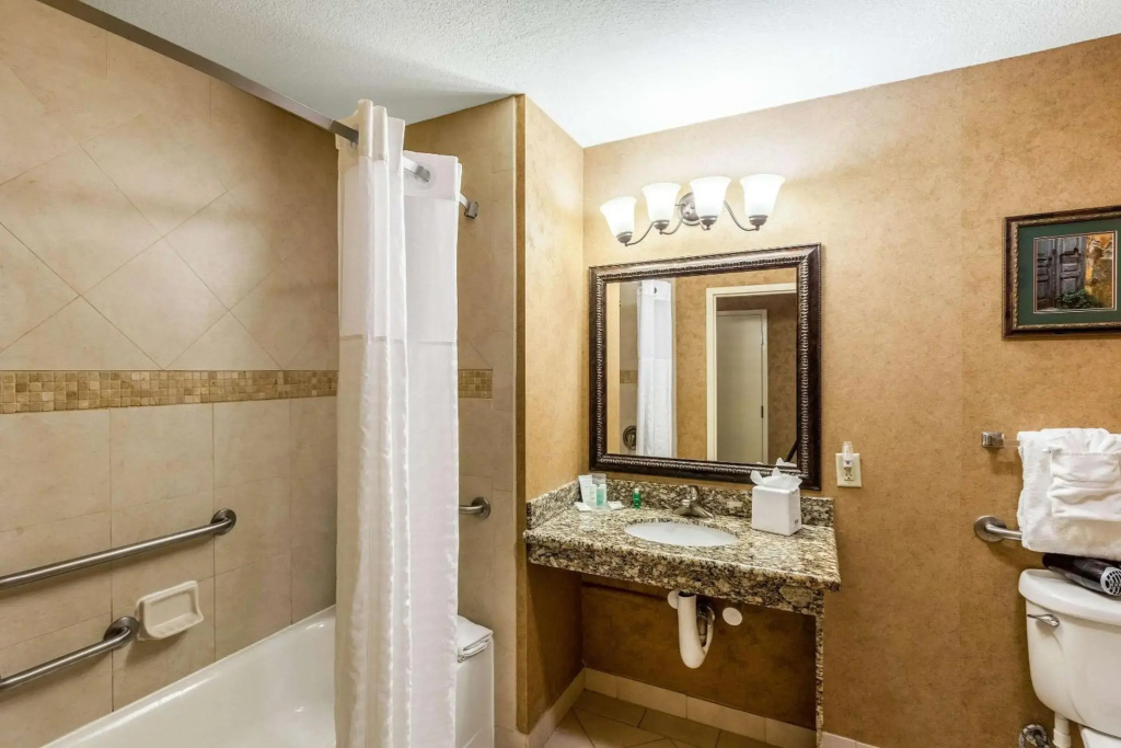 Comfort Suites Alamo - Riverwalk - Général