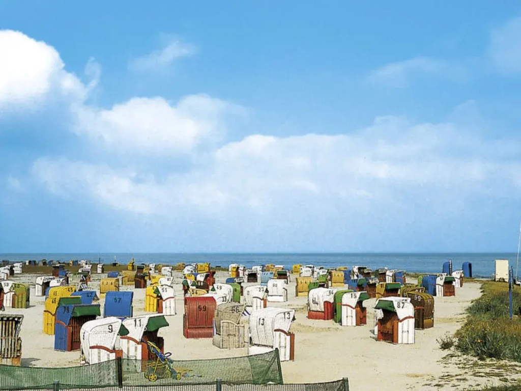 Beach & Waterfront
