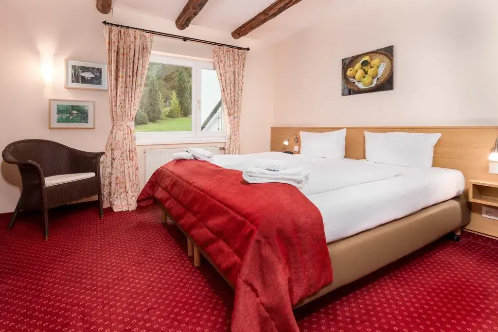 Waldhotel Schinkenwirt - Général