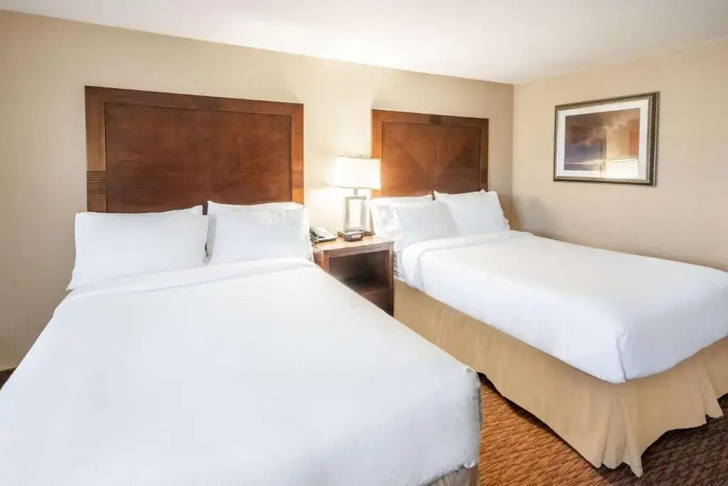 Holiday Inn Frisco by IHG - Chambres