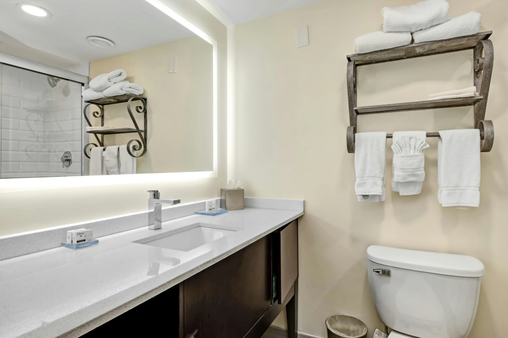 Holiday Inn Piscataway Somerset by IHG - Général