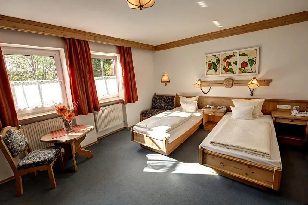 Standard Double room (full double bed)