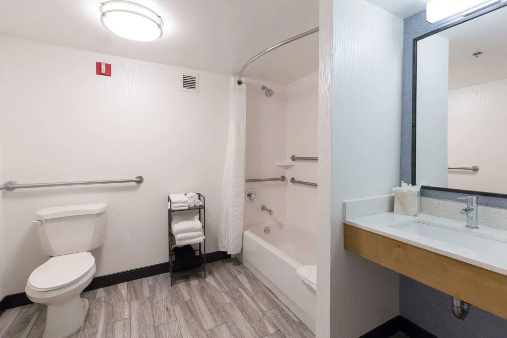 Hilton Garden Inn Atlanta North/Johns Creek - Général
