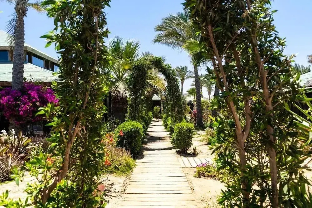 Abu Dabbab Lodge - фото 12