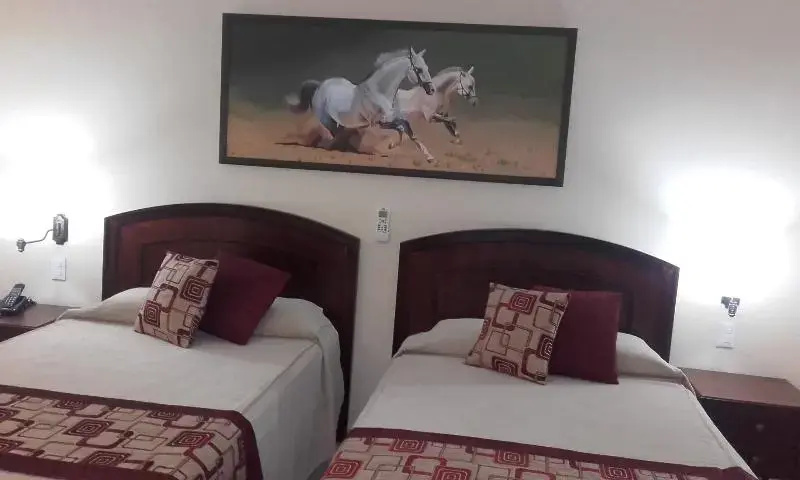 Standard Double room (full double bed)