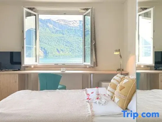 Standard Double room with lake view (full double bed)