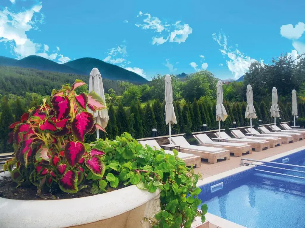 Premier Luxury Mountain Resort - Général