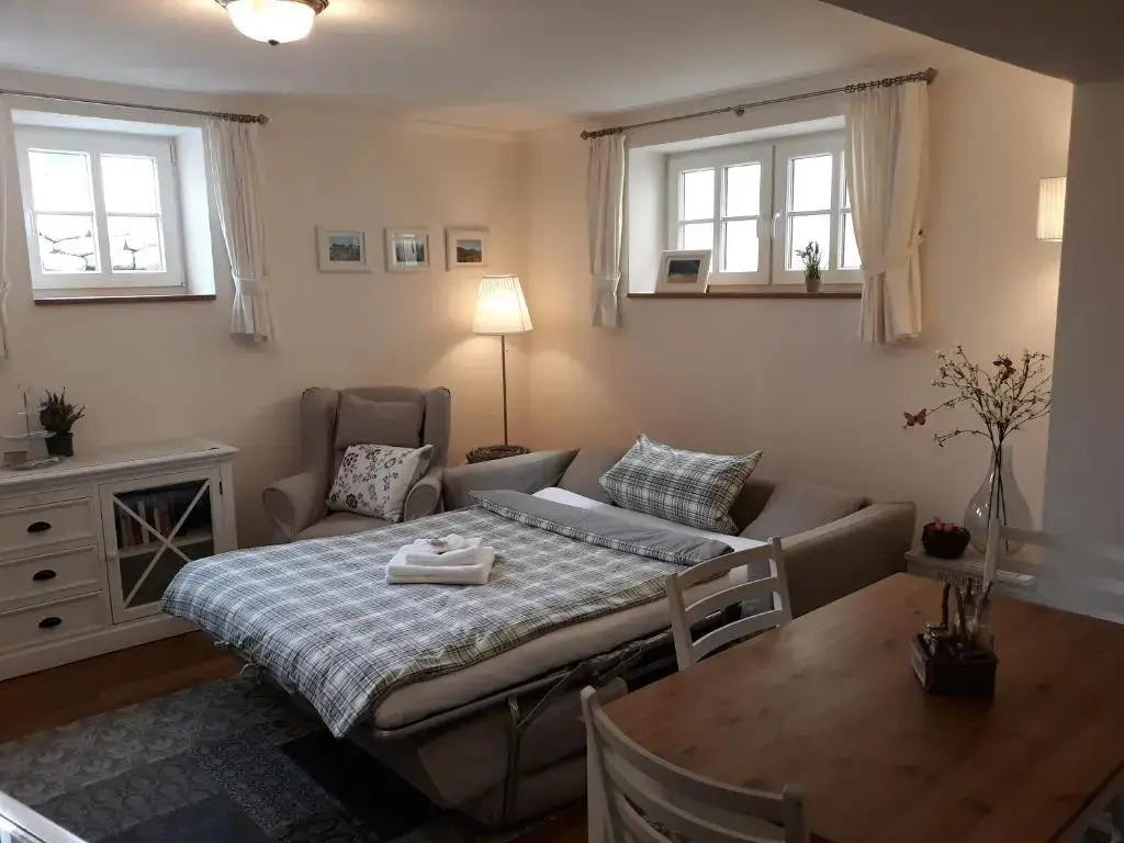 1 Bedroom Apartment