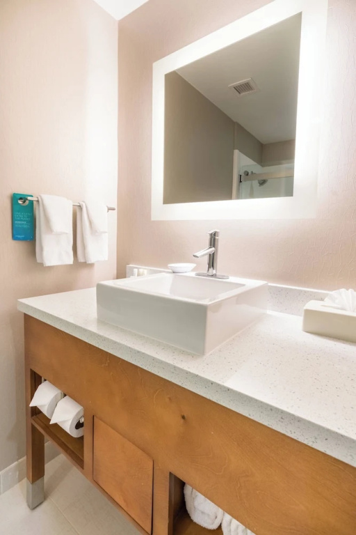 SpringHill Suites by Marriott Denton - Chambres