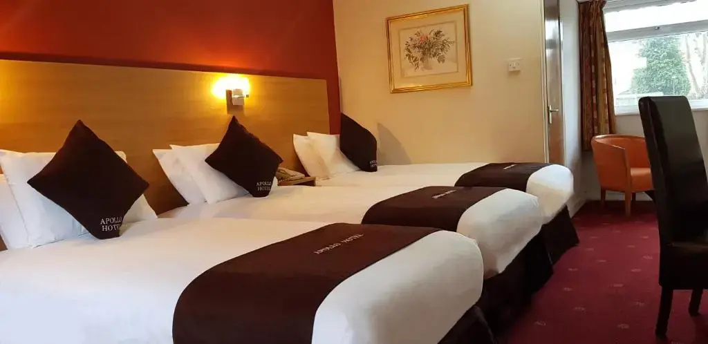 Apollo Hotel - Chambres