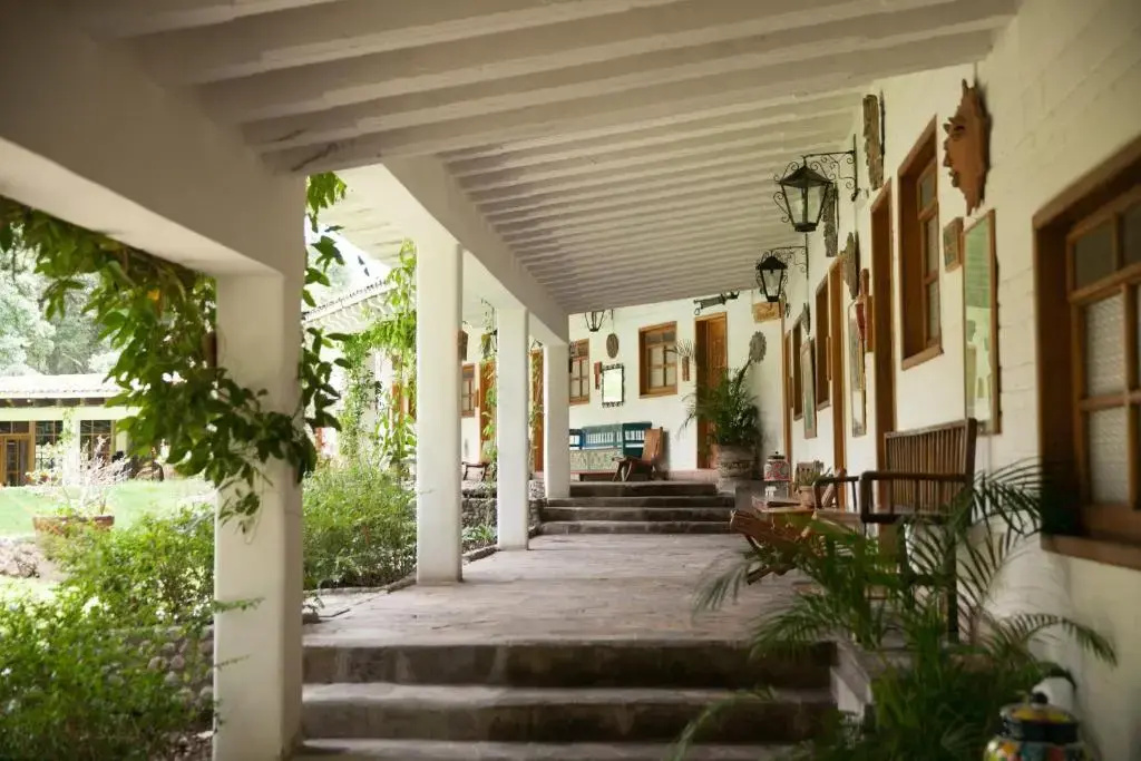 Balcony & Terrace
