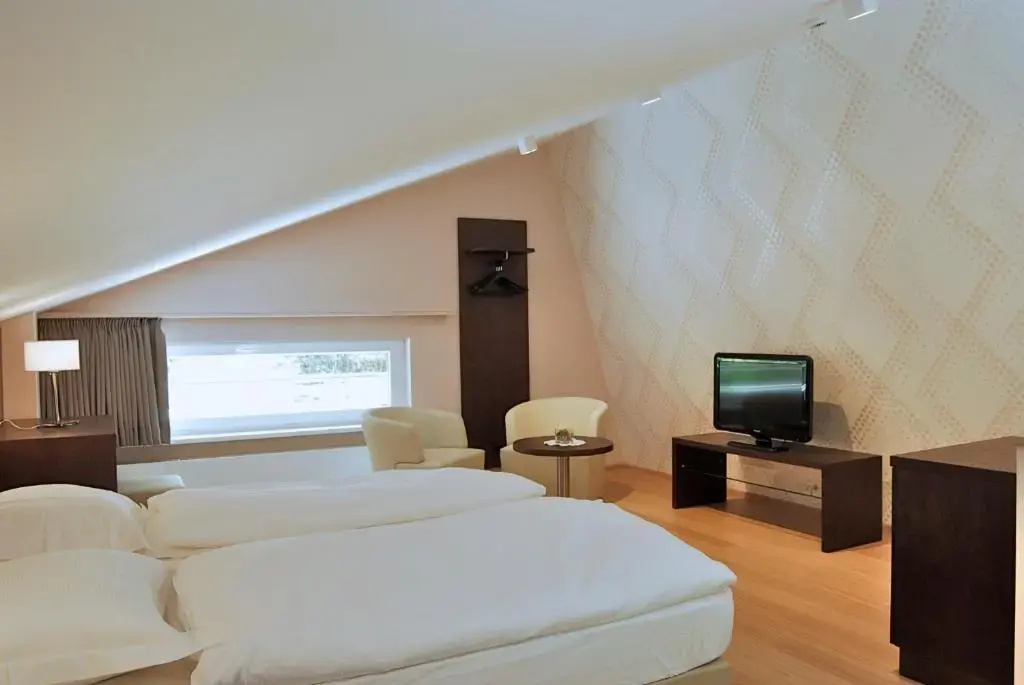 Hôtel Au Vieux Moulin - Chambres
