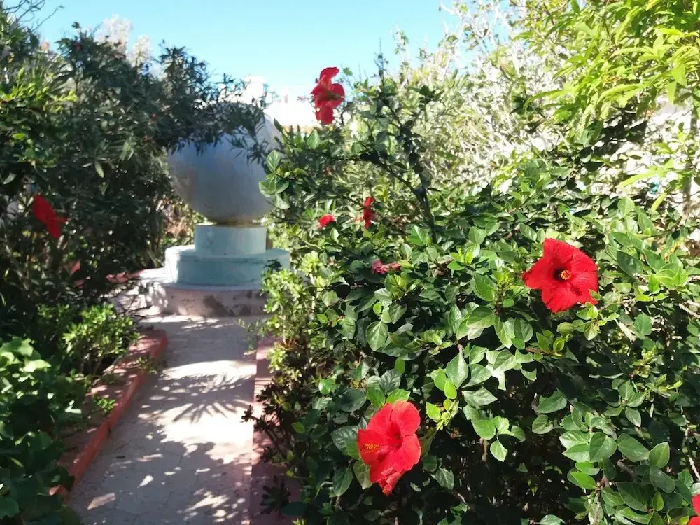 Riad Tamayourt Ocean View - Général