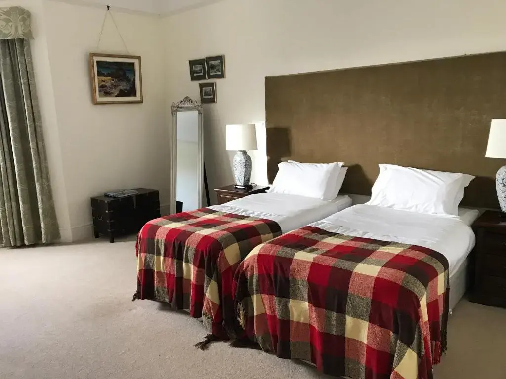 Deluxe Double room (twin beds)