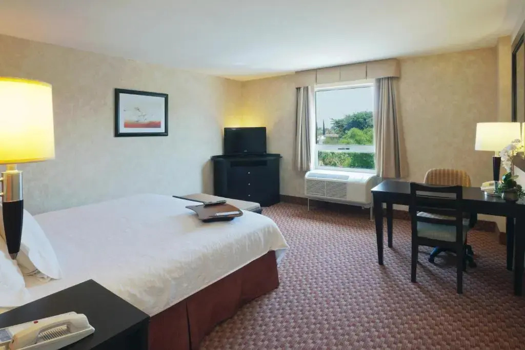 Hampton Inn by Hilton Ciudad Victoria - Chambres