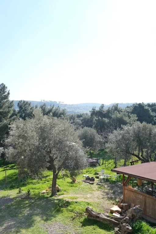 Hotel photo 43