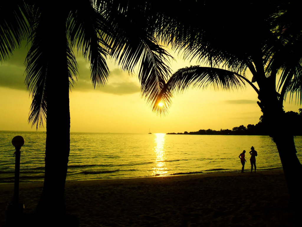 Beach & Waterfront