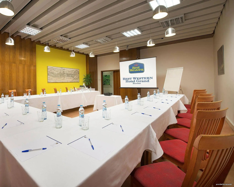 Hotel Grand Litava Beroun - Général