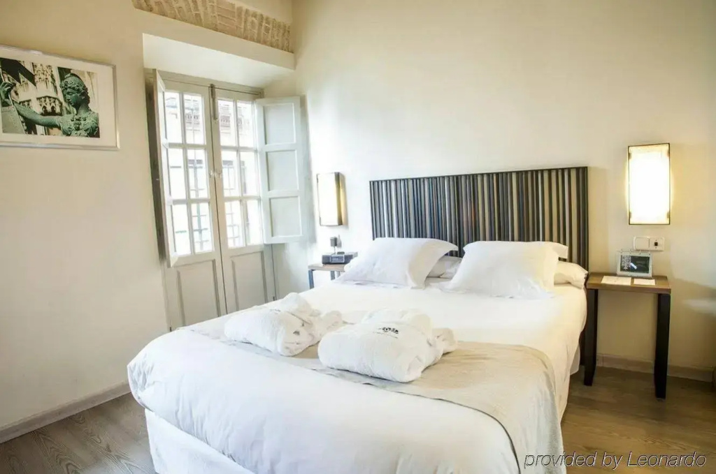 Hotel Boutique Casas de Santa Cruz - Général