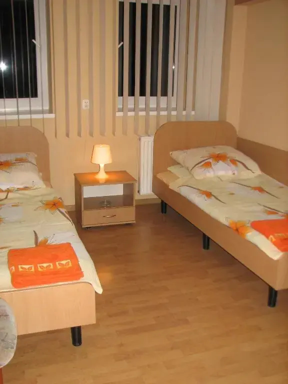 Standard Double room (twin beds)