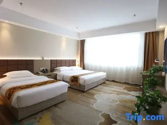 Standard Family room