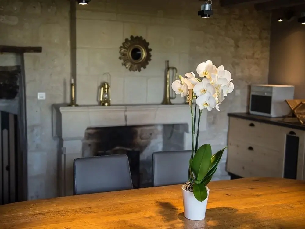 Gite Les Orchidees De La Loire